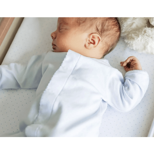 Essentials Solid Blue Converter