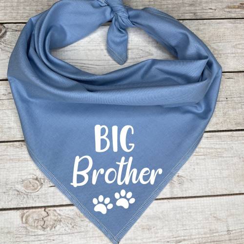 Big Brother Dog Bandana