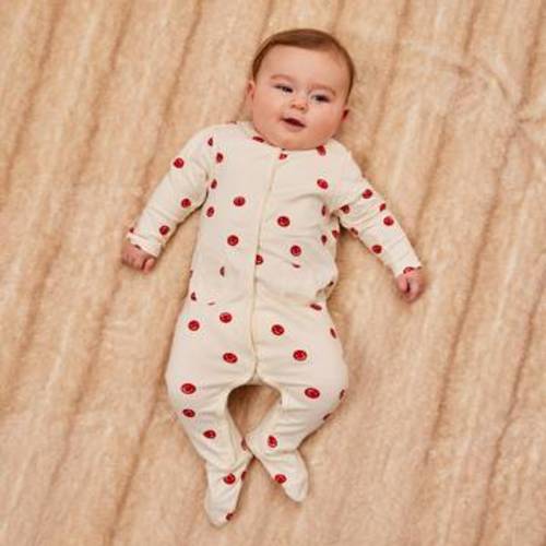 Little Rock Sleeper - Young Days