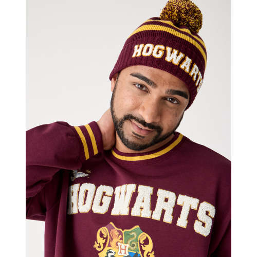 Harry Potter™ Spellbinding Studies Adult Sweater Beanie | Little Sleepies