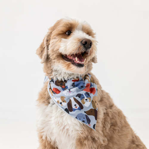 Gray Puppy Parade Pet Bandana