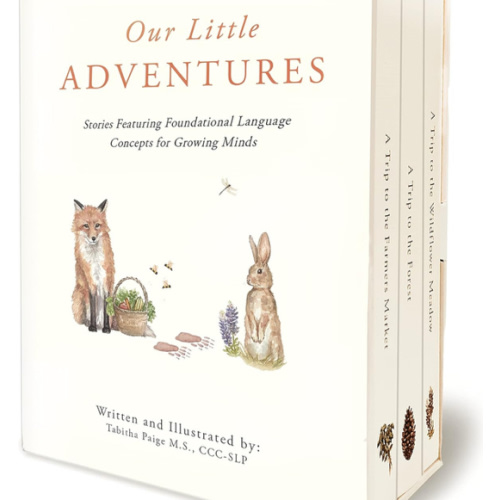Our Little Adventures: Stories Featuring Foundational Language Concepts for Growing Minds (Tabitha Paige Children's Book Series)