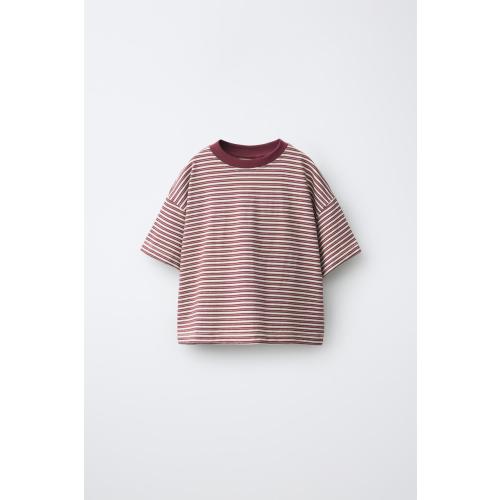 CONTRAST NECK STRIPED T-SHIRT - Burgundy | ZARA United States