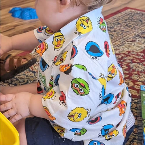 2T Sesame Street Boys Half Button Shirt