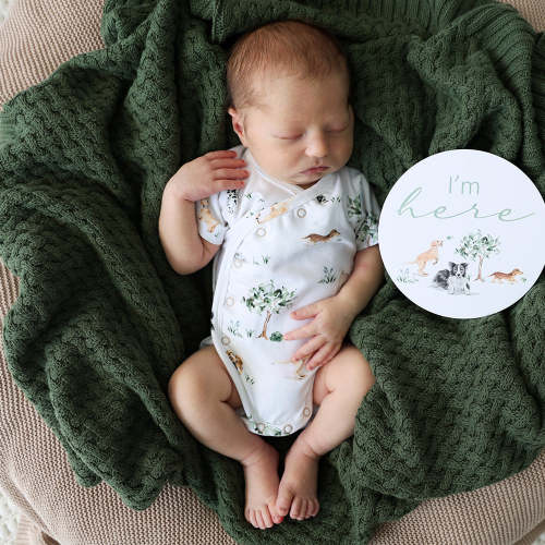 Dog Park Short Sleeve Organic Kimono Bodysuit