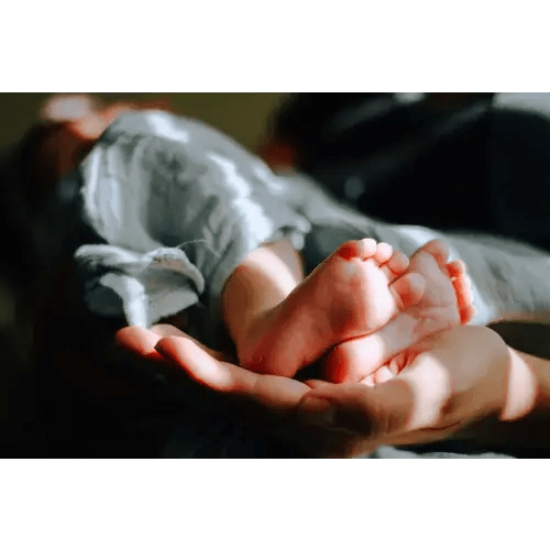 Postpartum Care Visits $600