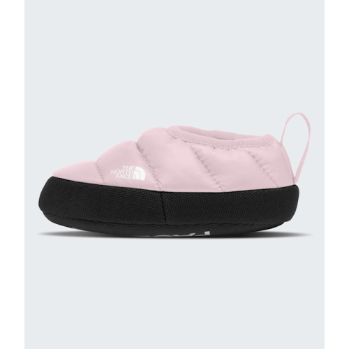 Baby Tent Mules