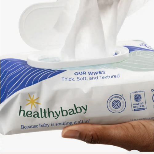 Wet Wipes (4 pack)
