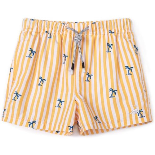SURF CUZ Boys Swim Trunks Toddler Swim Shorts 6-9m