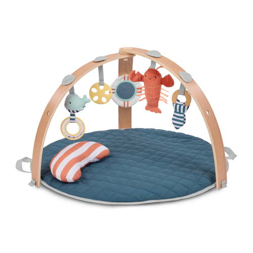 Ingenuity Cozy Spot Reversible Duvet Activity Gym - Harbor Haven