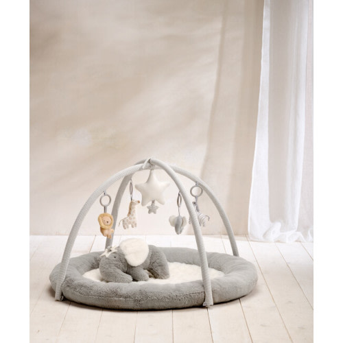 Playmat & Gym - Welcome to the World