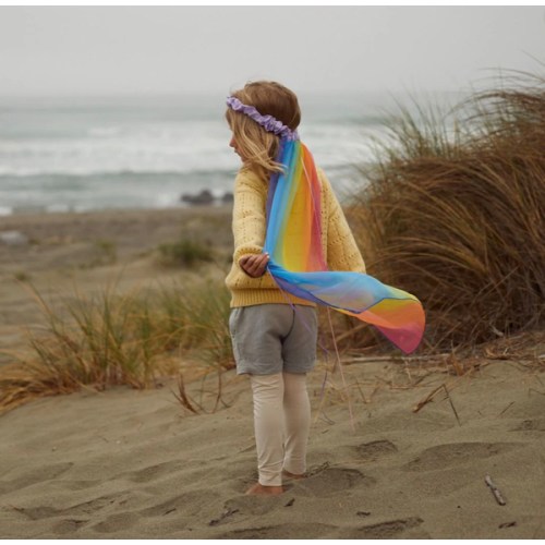 Rainbow Head Dress
