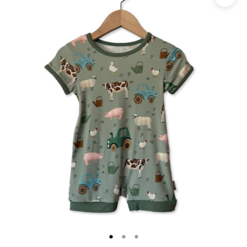 Hay There Shorty Romper