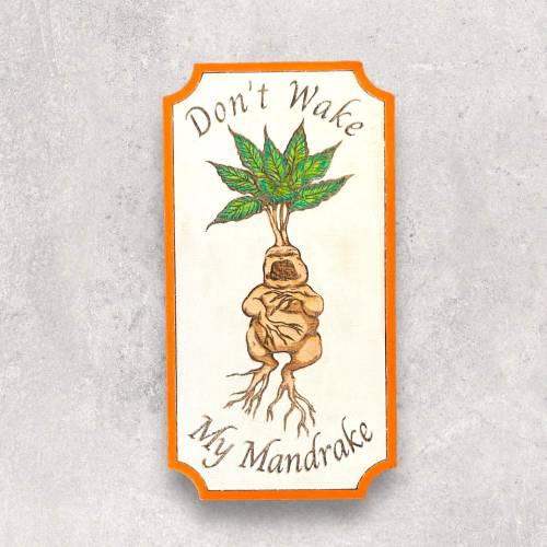 Wizard Baby Nursery Sign