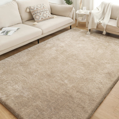 Latitude Run® Fuzzy Plush Area Rugs Shaggy Floor Carpets Bathroom Rug Non Slip Fluffy Area Rug Comfy Home Decor Machine Washable Floor Area Rugs & Reviews | Wayfair