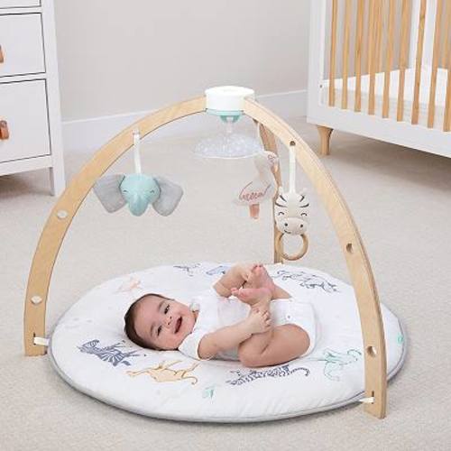 aden + anais Baby Activity Gym