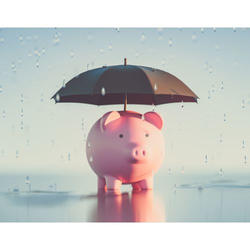☔ Baby's First | Rainy Day Savings Fund