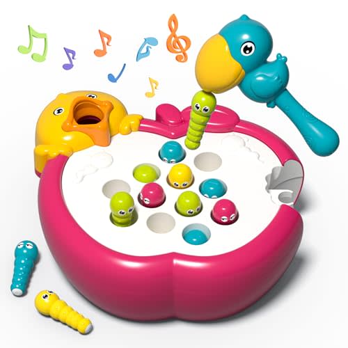 Magnetic Bird Feeding Game Woodpecker Worm Toy Montessori Fine Motor Skills Toddler Toy Age 2-4 Sensory Toys for Toddlers 3-5 Educational Learning Toys 2 Year Old Boy and Girl Gifts