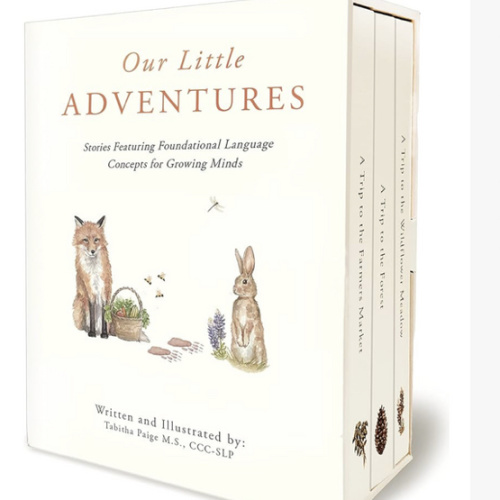 Our Little Adventures: Stories Featuring Foundational Language Concepts for Growing Minds (Tabitha Paige Children's Book Series)