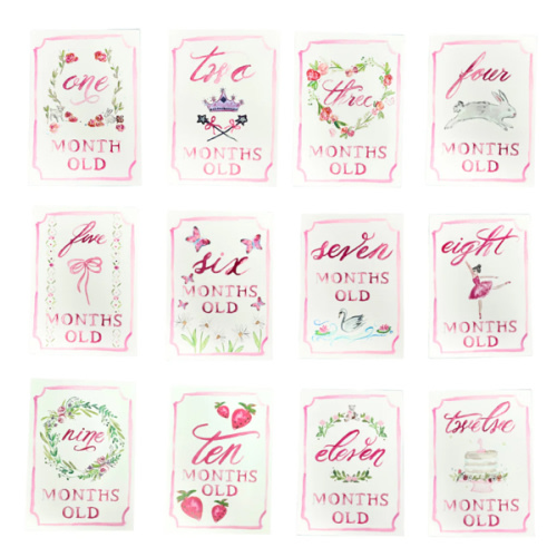 Monthly Milestone Card Set - Pink | Danrie