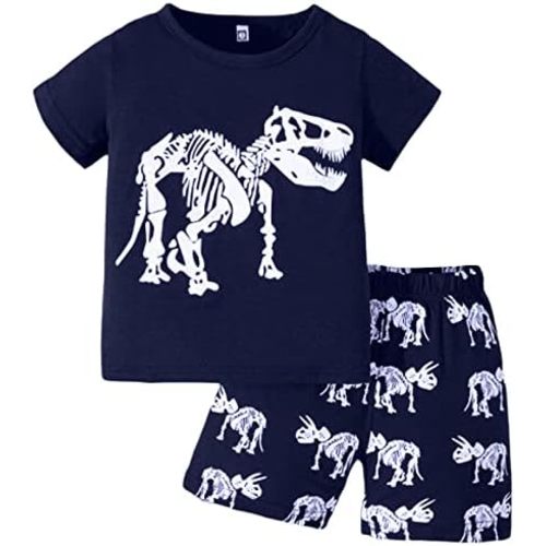 Toddler Kids Boys Summer Short Sleeve Dinosaur T Shirts Tops Shorts Outfits Clothes Set 2 to 7 Years 4 Piece Set