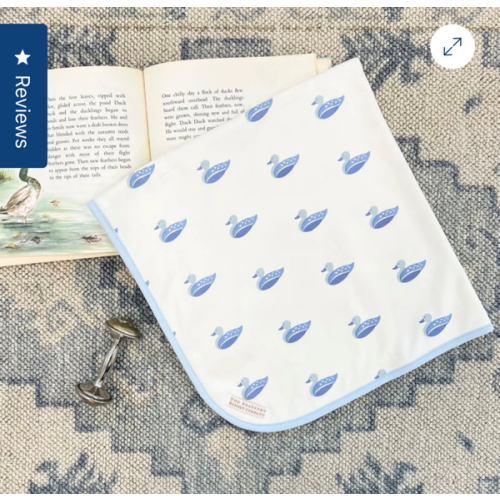 Baby Buggy Blanket - Merrimack Quack Quacks with Buckhead Blue
