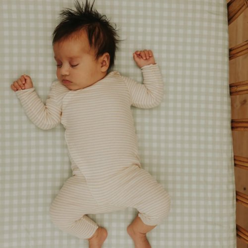 Picnic Gingham Crib Sheet - Green