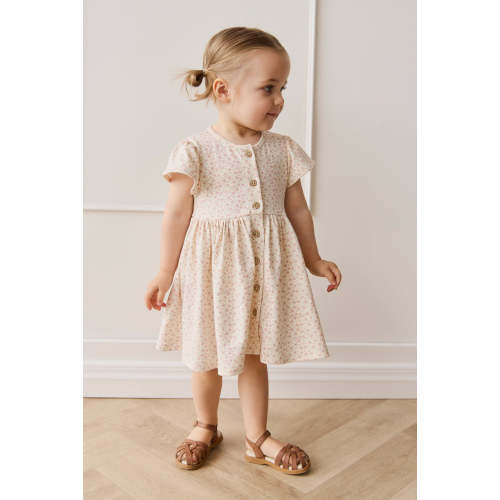 Organic Cotton Dahlia Dress - Penelope Rose Small – Jamie Kay USA