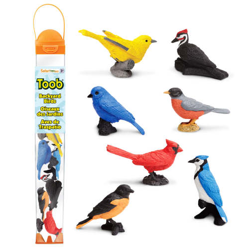 Backyard Birds TOOB – Mini Bird Figurines for Kids, Boys and Girls | Safari Ltd®