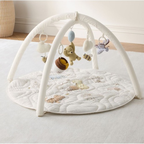 Disney's Winnie the Pooh Activity Gym