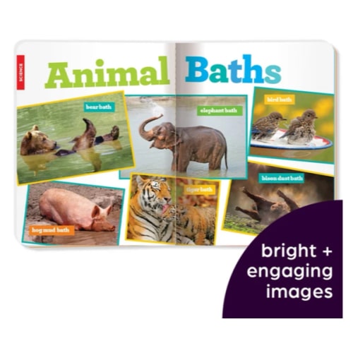 Highlights Hello Magazine One-Year Subscription for Ages 0-2