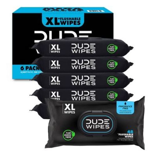 Dude Wipes Fragrance Free Flushable Personal Wipes - 288ct