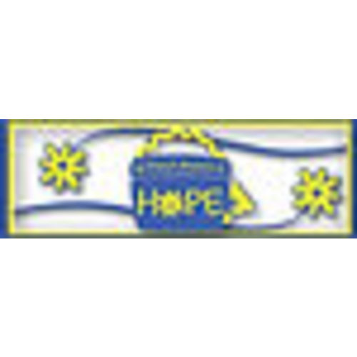 Wish List | Brittany's Baskets of Hope