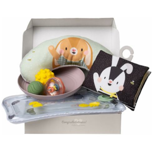 Buy Taf Toys Tummy-Time Essentials Kit