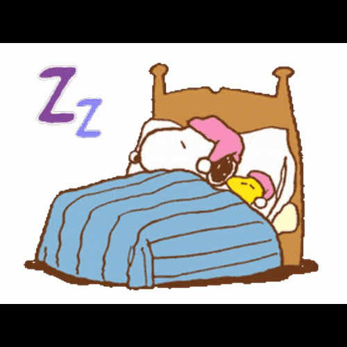 Night Nurse Fund
