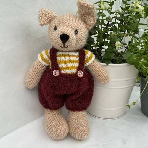 Nigel the Puppy dog with removable clothing