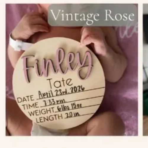 Baby Announcement Sign With Birth Stats | Wood Sign for Name Reveal | Baby Name Reveal | Personalized Baby Name Sign | Sign For Hospital
