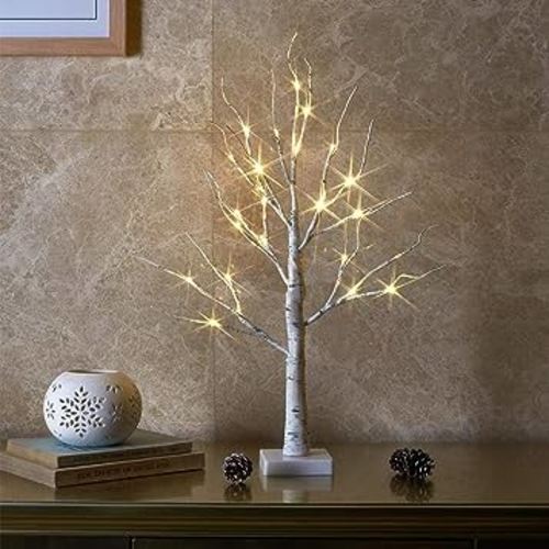 EAMBRITE Tabletop Birch Tree Christmas Decorations, White Birch Tree with Lights, 24 LED Lighted Mini Money Tree Twig Tree Battery Operated with Timer, Indoor Home Centerpiece Decor (2FT/Warm White)