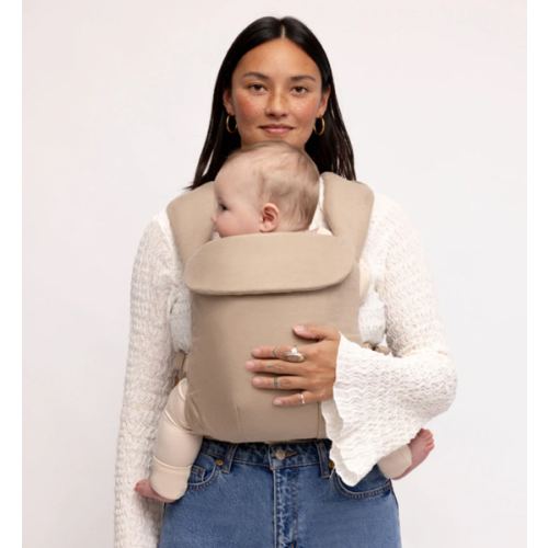 Desert Lark - Aerial Carrier – WildBird