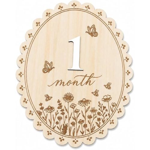 Baby Monthly Milestone Signs, Baby Monthly Milestone Girls, Wooden Double-Sided 1-12 Months Baby Signs with Changeable Numbers, Newborn Photography Props, Nursery Decor for Girls (QR7)