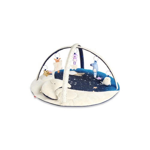 Skip Hop Celestial Dreams Activity Gym, Multi