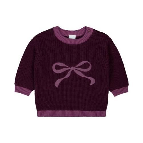 Dark Purple Baby Cotton Knitted Jumper With Embroidery | Best&Less™ Online