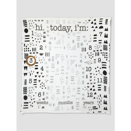 Honest Baby Clothing Organic Milestone Blanket