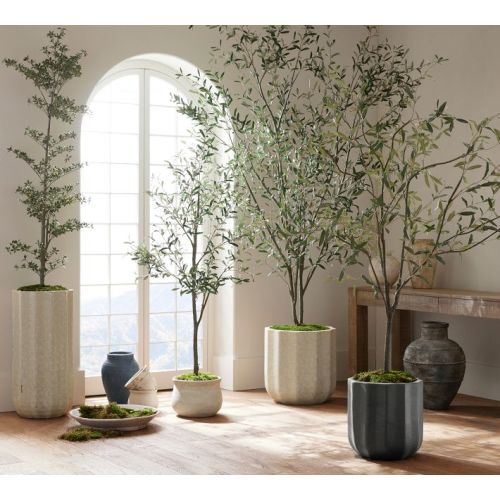 Faux Olive Trees
