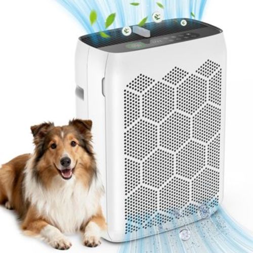 Teendow Air Purifier for Home Large Rooms up to 2200 sq ft, HEPA Air Cleaner with PM2.5 Display,Sleep Mode, Washable Pre-Filter, Aromatherapy,JH22C