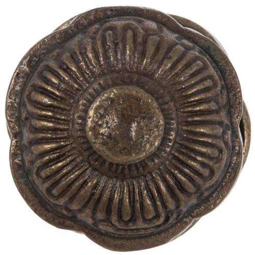 Antique Brass Scalloped Metal Knob
