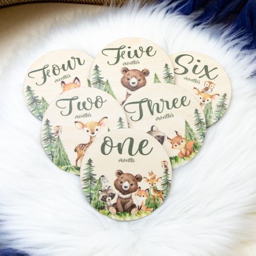 Woodland Milestone Cards, Baby Milestone Woodland Discs Marker, Wood Milestone Card, Baby Milestones, Photo Prop, Woodland Nursery Theme W27 - Etsy