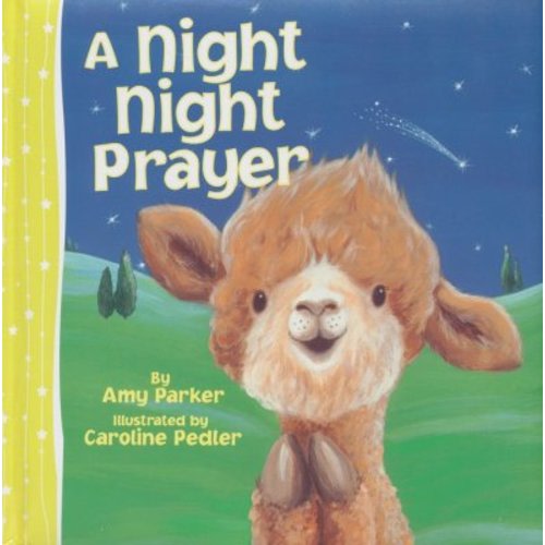 A Night Night Prayer by Amy Parker