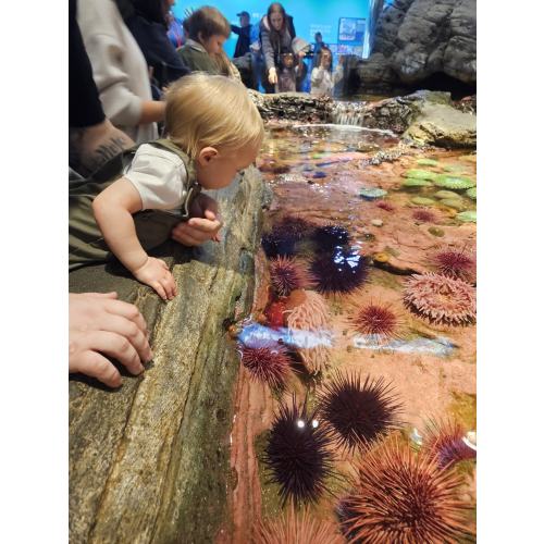 Aquarium membership