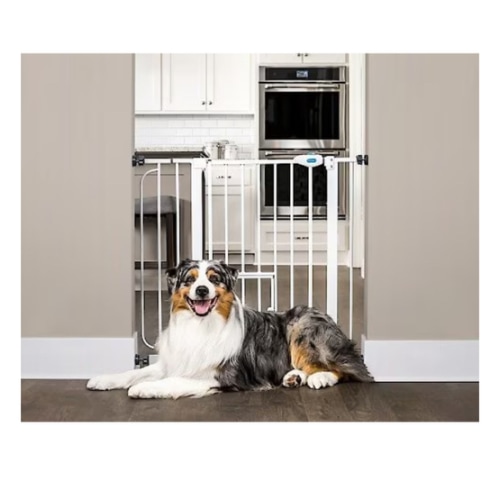 Carlson Pet Products Extra Wide Walk-Thru Dog Gate with Pet Door